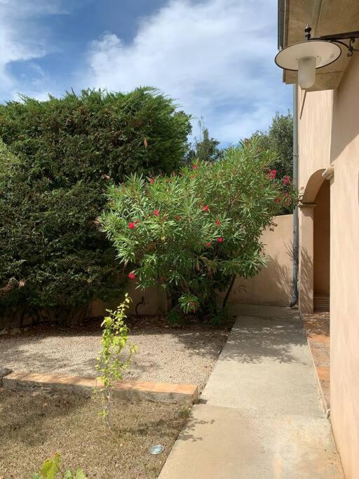 Studio En Rez-De-Jardin Arbore Avec Acces Piscine Et Clim Villeneuve-les-Avignon Ngoại thất bức ảnh